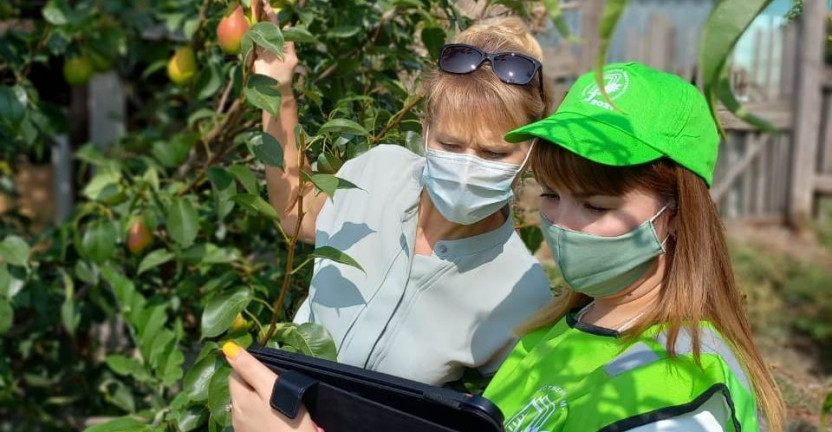 Проведение сельскохозяйственной микропереписи на контроле