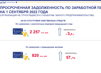 3 ф просроченная задолженность по зп. Просроченная задолженность. Просроченная ипотечная задолженность 2022.