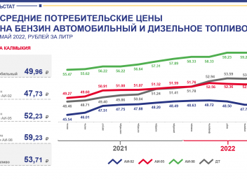 Сайт астраханьстата. Стоимость бензина 2022. Динамика цен на автомобили 2022 график. График цен на бензин в России 2022. Бензин в 2022 году.