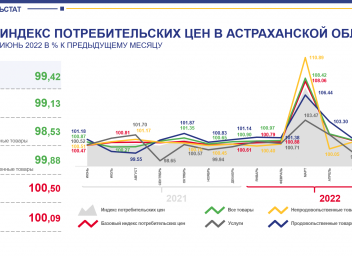 Индекс потребительских цен на 2022. ИПЦ график 2022. ИПЦ год к году. ИЦП 2022.