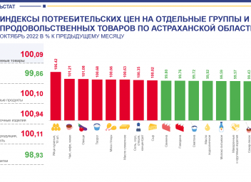 Индекс астрахань 2. Индекс потребительских цен. Индекс потребительской панели. Consumer Price Index.